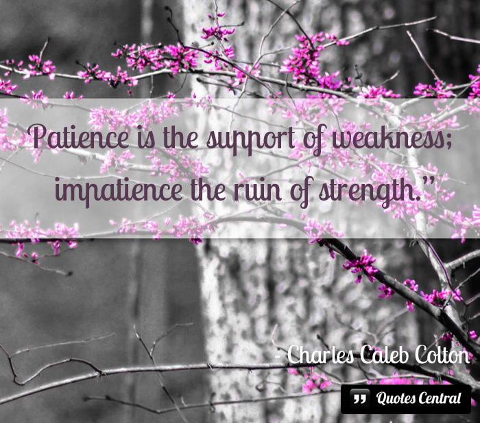 patience_is_the_support_of