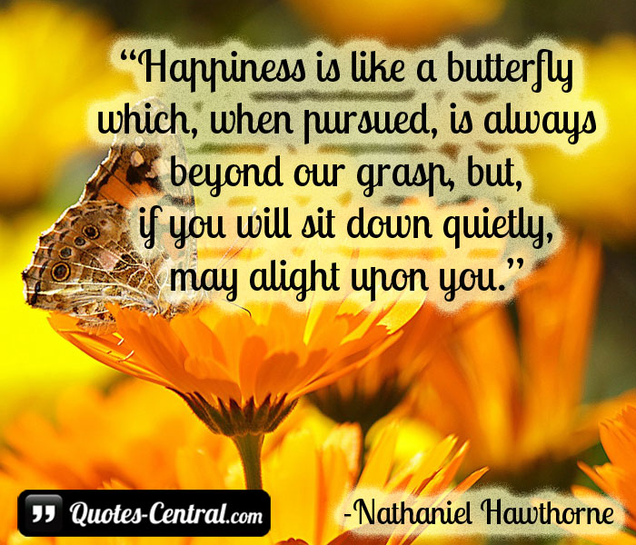 happiness-is-like-a-butterfly