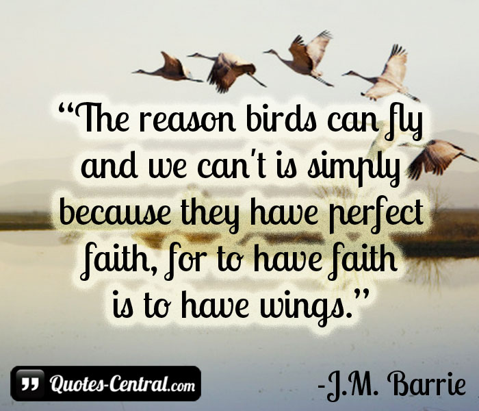the-reason-birds-can-fly