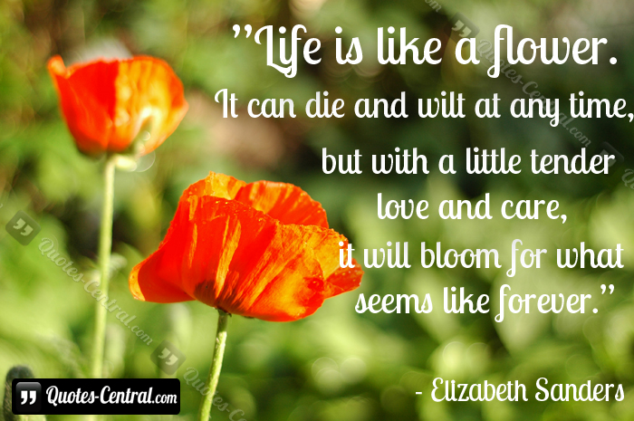 life_is_like_a_flower