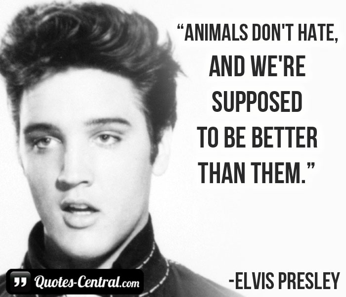 animals-don't-hate-and