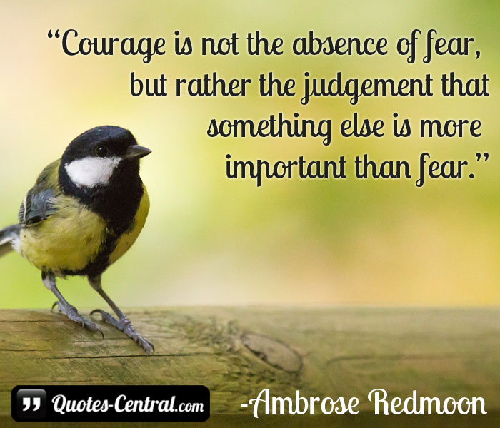courage-is-not-the-absence-of-fear