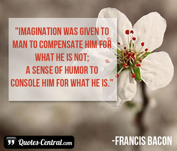 imagination-was-given-to