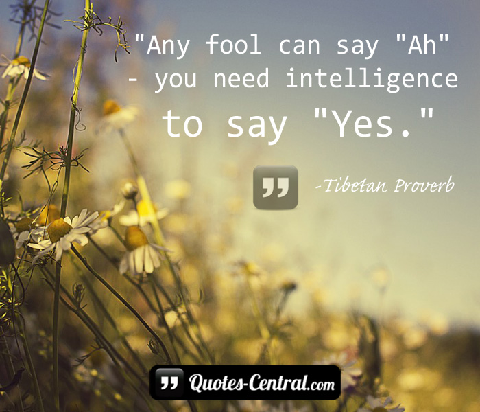 any-fool-can-say-ah-you-need-inteligence-to-say-yes